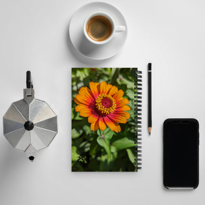 The back of the orange zinnia spiral notebook with the same picture by Aras Sivad.