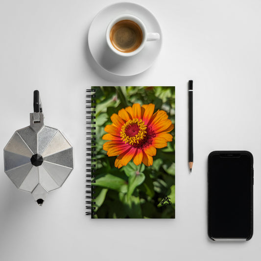 A spiral notebook is covered with a picture of a bright orange and pink zinnia on a sunlit bush by Aras Sivad and surrounded by kettle, coffee cup, pencil, and phone for scale.